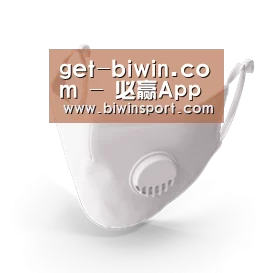 N95 口罩