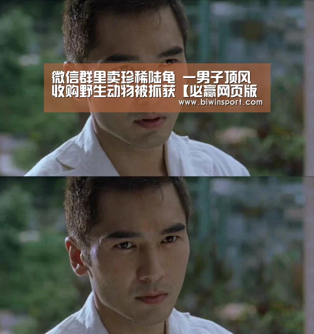 必赢app