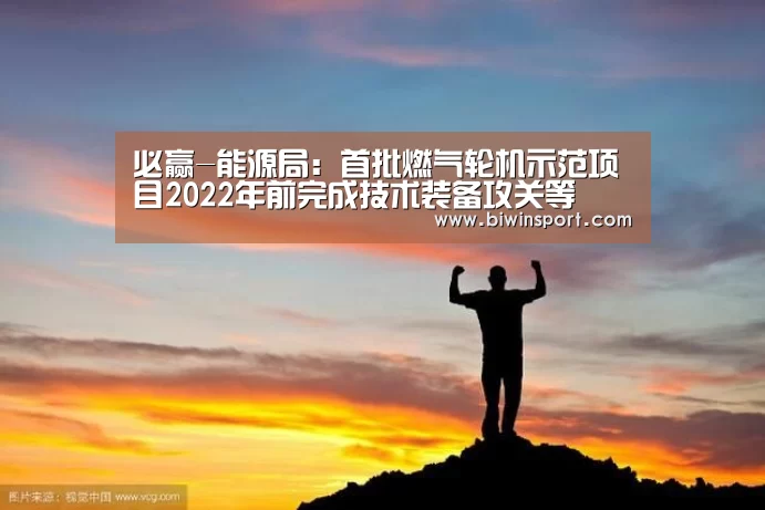 必赢-能源局:首批燃气轮机示范项目2022年前完成技术装备攻关等(图1) 必赢