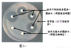 必赢app|“检查通风”是给电网一线抗疫人员的更多关爱(图1) 必赢网页版