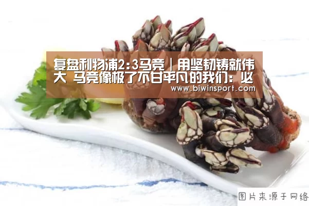必赢官网