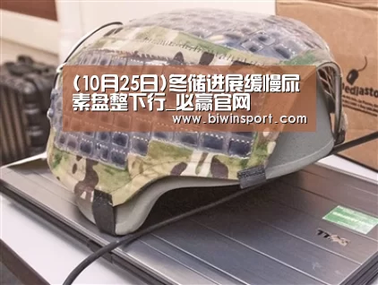 (10月25日)冬储进展缓慢尿素盘整下行_必赢官网(图3) 必赢官网