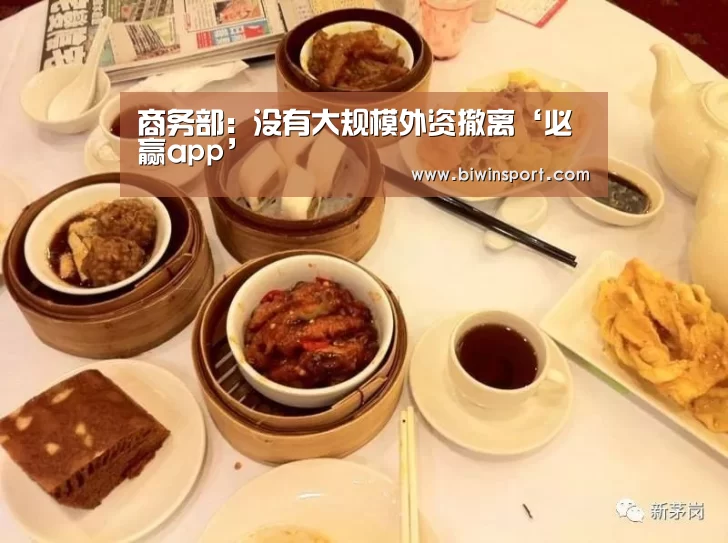 商务部:没有大规模外资撤离‘必赢app’(图1) 必赢app