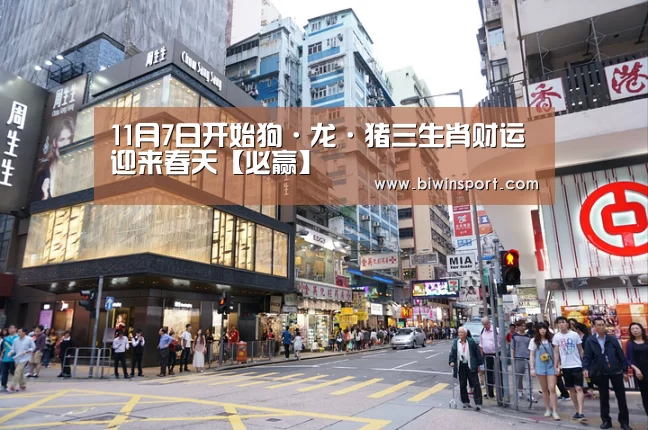 11月7日开始狗·龙·猪三生肖财运迎来春天【必赢】(图2) 必赢官网